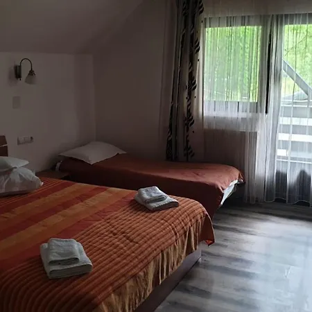 Casa Cristina Pensiune 3*